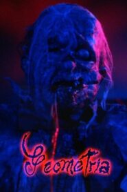 Geometry 1987 on netflix
