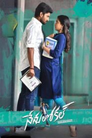 Nenu Local 2017 on netflix