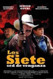 Los Siete 2010 on netflix