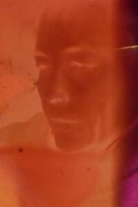 Endangered 1988 on netflix