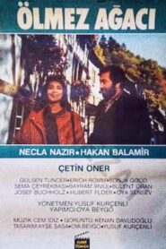 Ölmez Ağacı 1984 on netflix