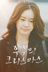 Woojoo’s Christmas 2016 on netflix