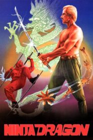 Ninja Dragon 1986 on netflix