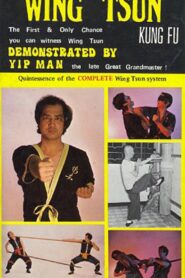 Authentic Wing Tsun Kung Fu: Demonstrated By Yip Man 1984 on netflix