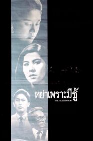 The Accusation 1985 on netflix