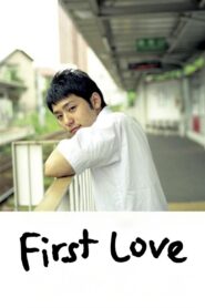 First Love 2007 on netflix