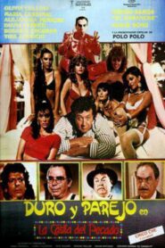 Duro y Parejo en La Casita del Pecado 1987 on netflix