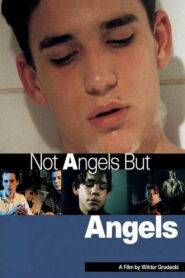 Not Angels But Angels 1994 on netflix