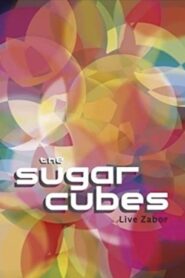 The Sugarcubes: Live Zabor 2006 on netflix