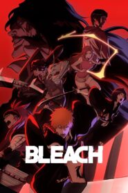 Bleach 2004 on netflix