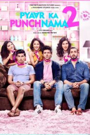Pyaar Ka Punchnama 2 2015 on netflix