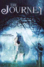 More Winners: The Journey 1990 on netflix