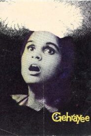 Gehrayee 1980 on netflix