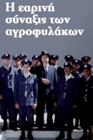 The Four Seasons of the Law 2000 on netflix
