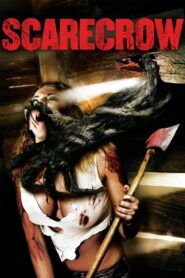 Scarecrow 2013 on netflix
