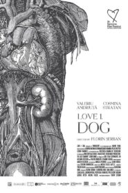 Love 1. Dog 2018 on netflix
