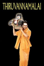 Thiruvannamalai 2008 on netflix