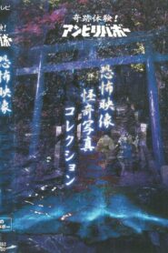 Kiseki Taiken! Anbiribabō: Kyōfu Eizō Kaiki Shashin Korekushon 1999 on netflix