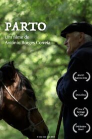 Parto 2010 on netflix
