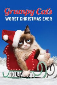 Grumpy Cat’s Worst Christmas Ever 2014 on netflix