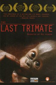 The Last Trimate 2008 on netflix