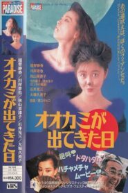 Ookami ga Dekita Hi 1992 on netflix