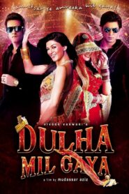 Dulha Mil Gaya 2010 on netflix