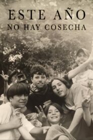 Este año no hay cosecha 2000 on netflix