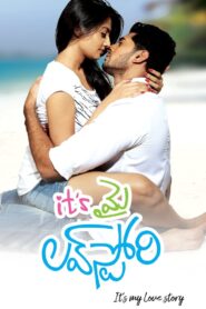 It’s My Love Story 2011 on netflix
