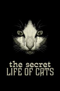 The Secret Life of Cats 2014 on netflix