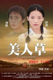 The Foliage 2004 on netflix