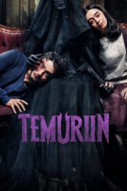 Temurun 2024 on netflix