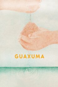 Guaxuma 2019 on netflix