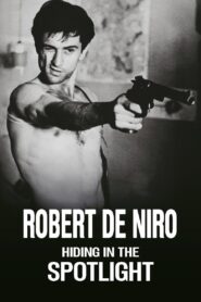 Robert De Niro: Hiding in the Spotlight 2023 on netflix