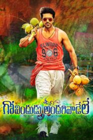 Govindudu Andarivaadele 2014 on netflix