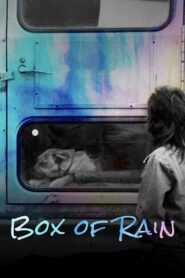 Box of Rain 2022 on netflix