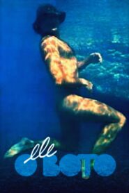 The Dolphin 1987 on netflix