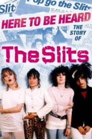 Here to be Heard: The Story of The Slits 2018 on netflix