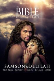Samson and Delilah 1996 on netflix