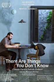 There Are Things You Don’t Know 2010 on netflix