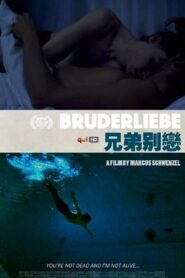Brotherly Love 2009 on netflix