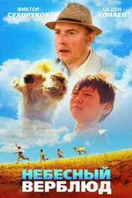 Celestial Camel 2015 on netflix