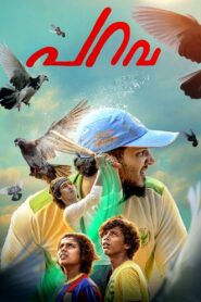 Parava 2017 on netflix