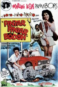 Pintar Pintar Bodoh 1980 on netflix