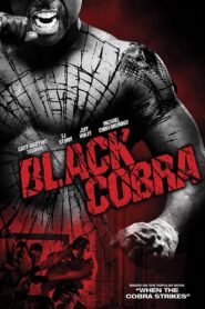 When the Cobra Strikes 2012 on netflix