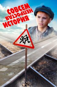 Not Quite a Simple Story 2013 on netflix