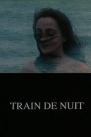 Train de nuit 1994 on netflix