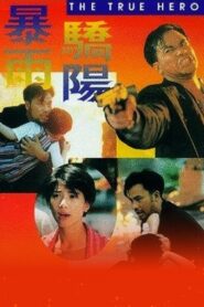The True Hero 1994 on netflix