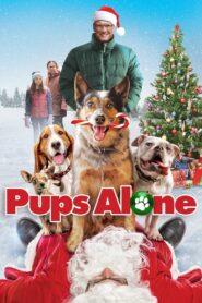 Pups Alone 2021 on netflix