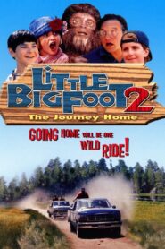 Little Bigfoot 2: The Journey Home 1998 on netflix